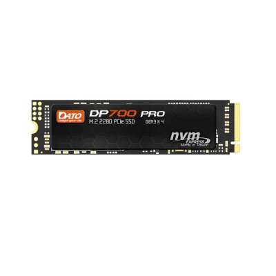 DATO 256GB NVMe PCIe Solid State Drive